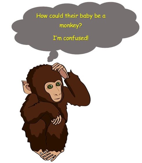 Confused Monkey